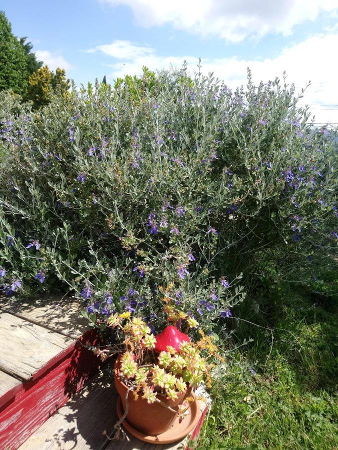 Brindepaille Bed and Breakfast Vallon-Pont-dʼArc Exteriör bild